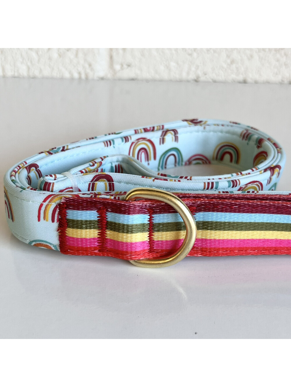 NEW Unisex Pride Rainbow Top Paw 4 Ft Neoprene Leash Dog Puppy NWT